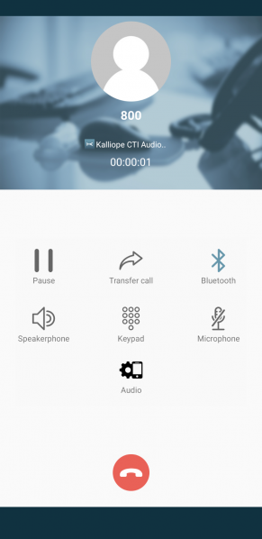 File:Panel audio.png