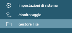 Gestore file.png