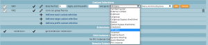 Custom Selections NP.png
